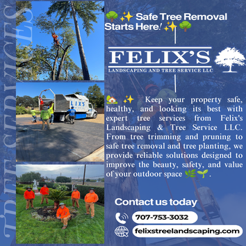 Tree Services