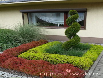 Photos by B&c Fruit Trees & Landscape LLC #1