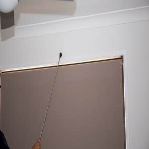 Gold Termite Removal Experts