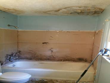Photos by Brookdelnc Environmental Inc #1