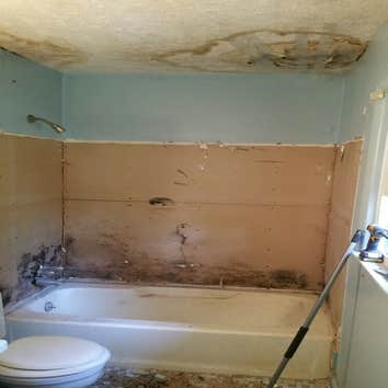 Photos by Brookdelnc Environmental Inc #1