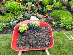 Photos by John Ideal Lawn and Landscapes #1