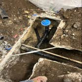 Photos by Shark plumbing Services #1