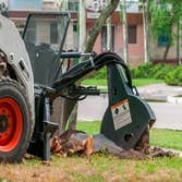 Buckley's Best Tree Care