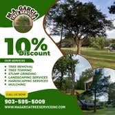 Photos by M.A. Garcia Tree Service Inc #4