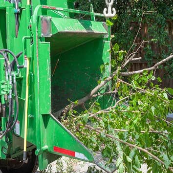 Photos by Athens of America Tree Service #1