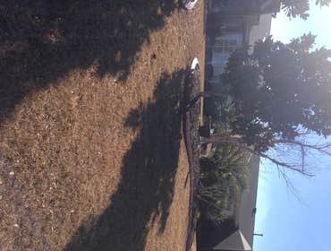 Photos from Coastal Curbing