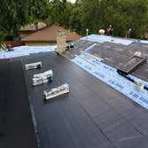 Photos from Tracey Bichon