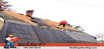 Red Dog's Roofing LLC