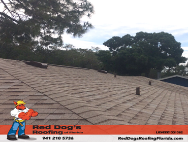 Photos by Red dog's Roofing of Florida #1