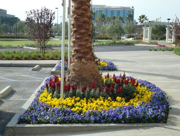 Photos from Pacific Coast Landscape & Design Inc