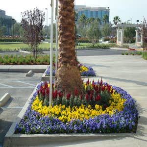 Photos from Pacific Coast Landscape & Design Inc