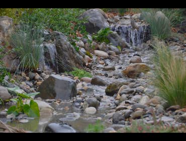 DIY network. TURF WARS Episode 205 French's Waterscapes built the 50' stream meandering into an 8'x11' pond over the two day period where we competed a