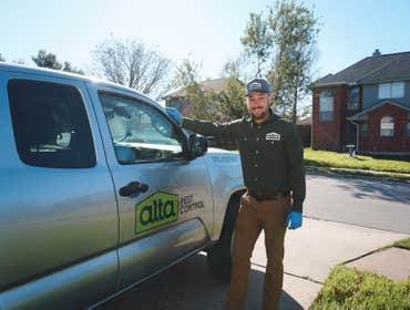 Photos by Alta Pest Control #1