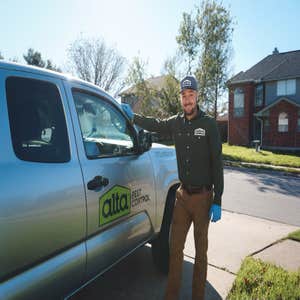Photos by Alta Pest Control #1