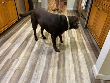 Photos by Unity Flooring #1