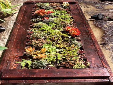 Landscaping