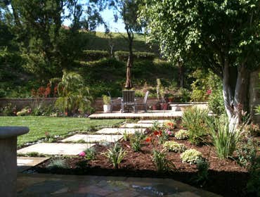 Urban Forest Landscape And Construction Photos