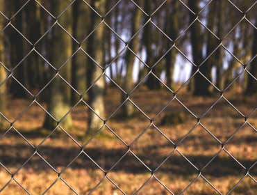 Chain Link
