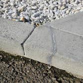 Evergreen Construction LLC 