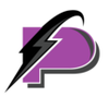 Plesh Electric logo
