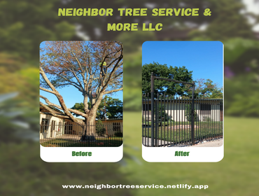 Photos by Neighbor Tree Service & More LLC #1