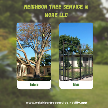 Photos by Neighbor Tree Service & More LLC #1