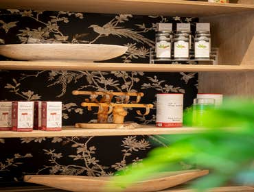 Green Room Spa and Apothecary Commercial Tenant Buildout.
