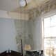 Photos by Basement Mold Removal Brooklyn #1