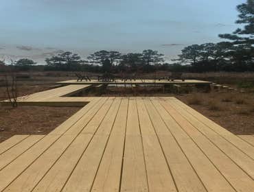 Projects and Plants This gallery shows a combination of projects and beautiful Native Plants. Projects that meet the requirements of a National Wildli
