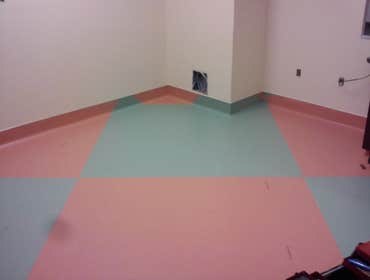 Sheet Vinyl with Flash Cove