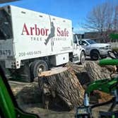 Photos by Arborsafe Tree Service #1