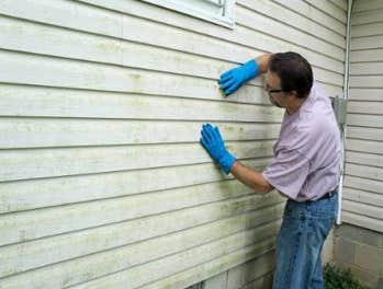 Siding Services