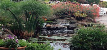 Jay Job We designed this pond and rebuild the stream. This is located in San Francisco in a very small back yard. We put 4 koi in and we also clean the