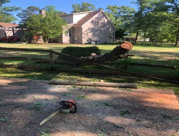 Photos by Dylan Tree Services LLC #2