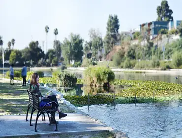 Landscape Designs