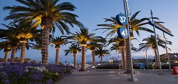 Landscape Designs