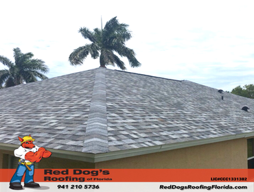Photos by Red dog's Roofing of Florida #1
