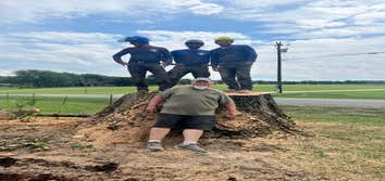 Greenbrier Tree Experts