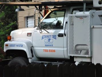 Photos by Authority Tree Service #1