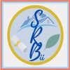 Srb International Innovation logo