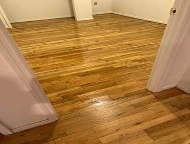 Photos by Gemini Floor Services #1