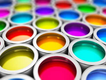 Photos by Tropical Painters #1