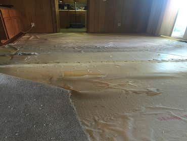 Photo(s) from Flooring Elements Llc