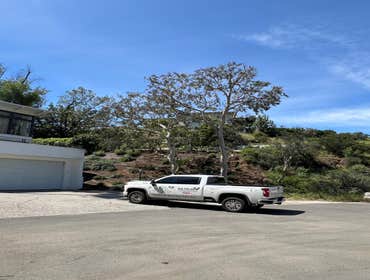 Photos by California Green Tree Care #1