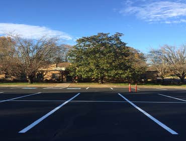 Asphalt Paving/ Sealcoating & striping