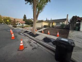 Photos by Bedolla's Landscape Management Inc #5