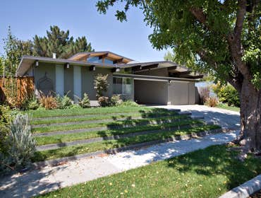 Photos by Steve Guzzetta Inc #1