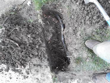 Photos by Summer Sprinklers & Repair #1