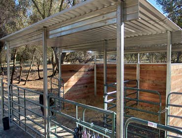 Photos from Middleton Gardens
